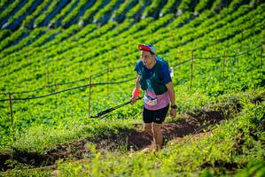 BIB: 
                            <button type="button" onclick="openModal(19160399)" class="btn btn-primary btn-sm float-right btn-popup" data-toggle="modal" data-target=".modal-high-quality">
                        <i class="fas fa-shopping-cart"></i> Add to Cart
                    </button>
                                            <button type="button" onclick="isThisMe(19160399, true)" class="btn btn-success btn-sm float-right btn-popup btn-isme hidden" data-toggle="tooltip" data-placement="bottom" title="นี่คือรูปของคุณใช่ไหม คลิกที่นี่เพื่อเอาเข้าอัลบั้ม">
                        <i class="fas fa-plus"></i> Add to album
                    </button>
                    <button type="button" onclick="isThisMe(19160399, false)" class="btn btn-warning btn-sm float-right btn-popup btn-isnotme hidden">
                        <i class="fas fa-ban"></i> Remove from album
                    </button>